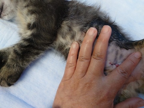 20220722_181215_copy_800x600_2