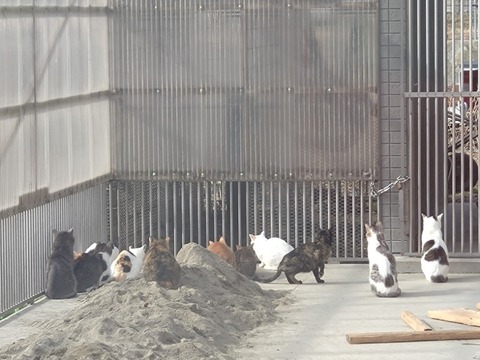 20260306_090934_copy_800x600