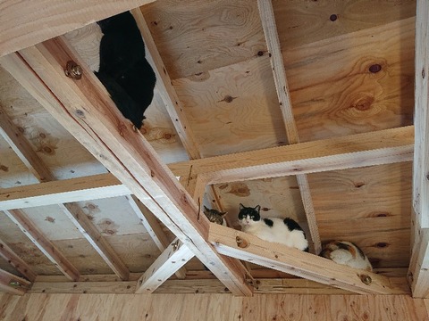 DSC_5806_copy_800x600