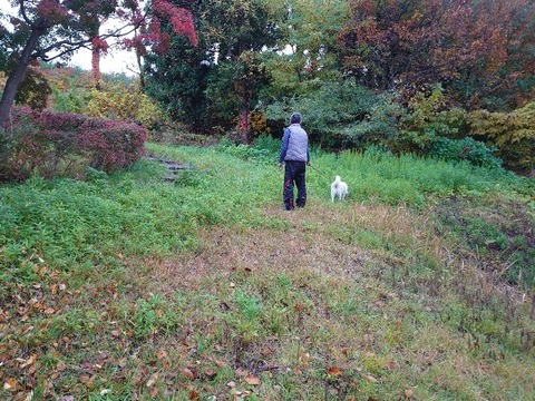 DSC_1888_copy_800x600_1