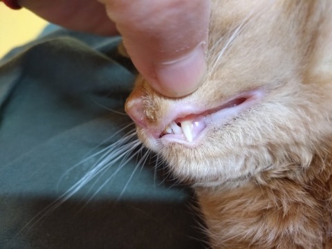 20260116_091024_copy_800x600