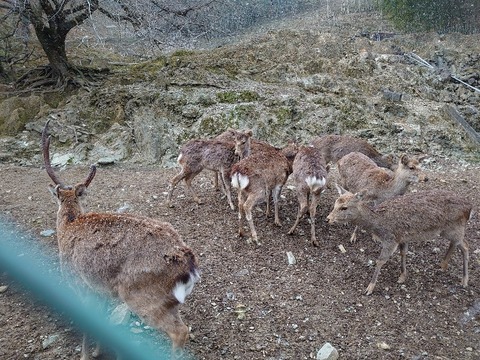 DSC_2847_copy_800x600