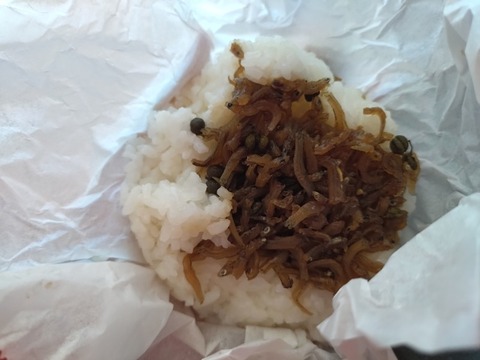 20250819_121200_copy_800x600