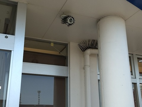 20240419_165053_copy_800x600