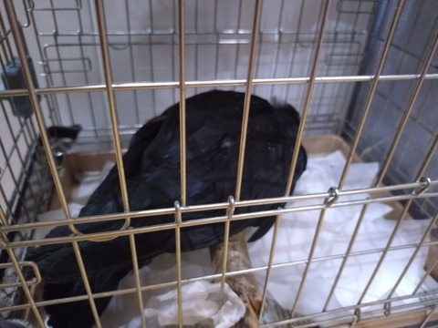 20250621_144455_copy_800x600