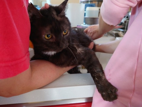 20230404_084231_copy_800x600