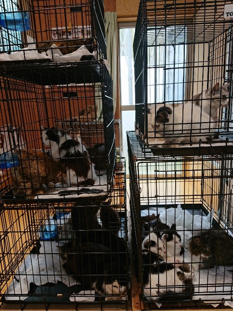 DSC_6373_copy_600x800