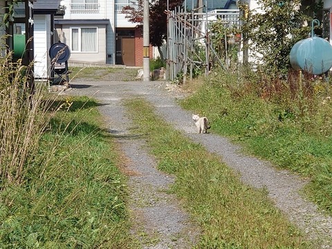 DSC_0302_copy_800x600