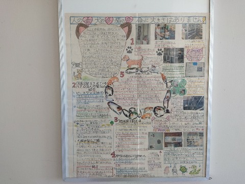 DSC_6242_copy_800x600