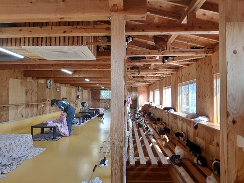 DSC_1279_copy_800x600