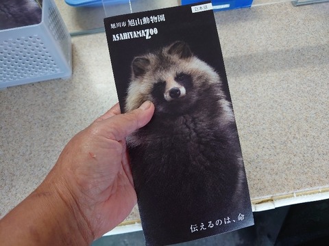 DSC_0325_copy_800x600