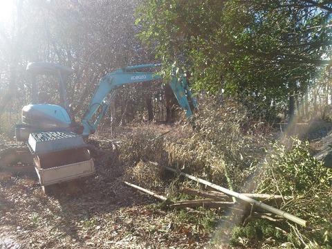 20240302_150324_copy_800x600