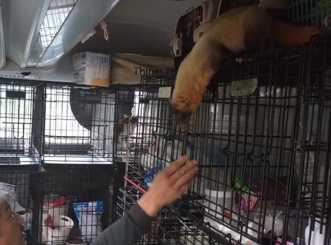 20251004_075249_copy_863x638