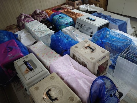 DSC_0843_copy_800x600