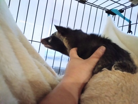 20260224_074402~2_copy_800x600