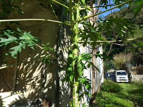 20251023_091940_copy_800x600