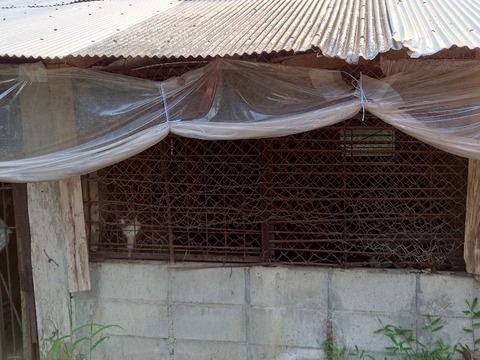 20220723_170312_copy_800x600