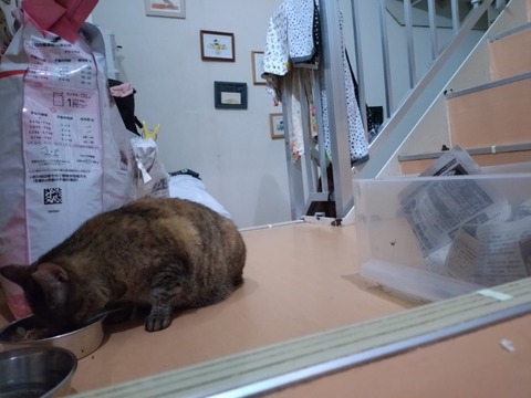 20250222_171651_copy_800x600