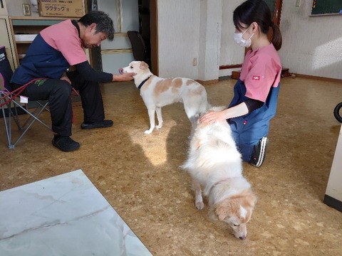 DSC_1241_copy_800x600