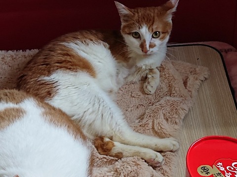 DSC_5404_copy_800x600