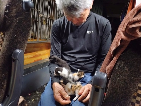 20260520_205443~2_copy_800x600