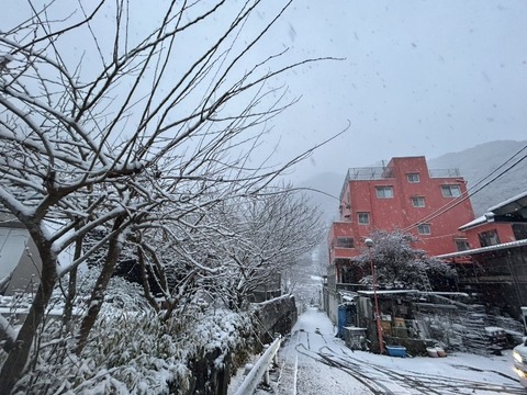 1770536006895_copy_800x600