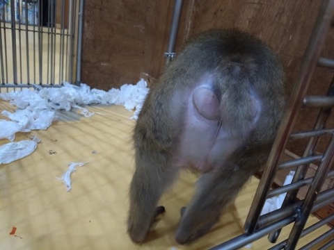 20251214_215142_copy_800x600