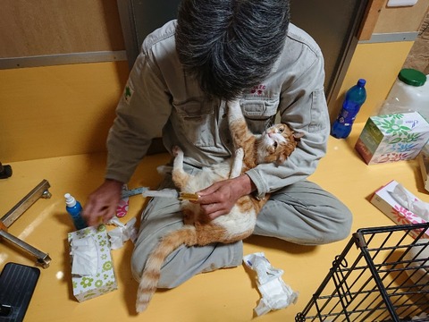 DSC_6343_copy_800x600