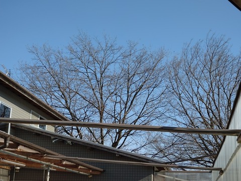 20260115_095928_copy_816x612