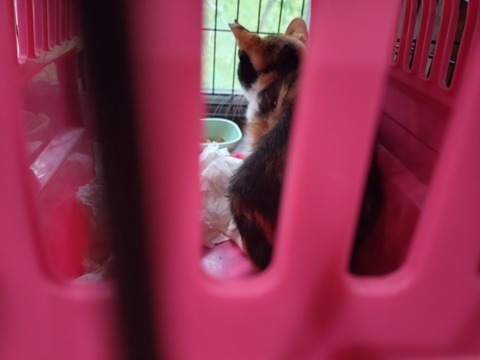 20251003_084048_copy_800x600