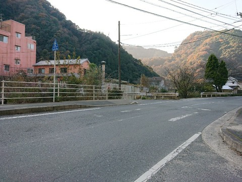 DSC_3914-800x600