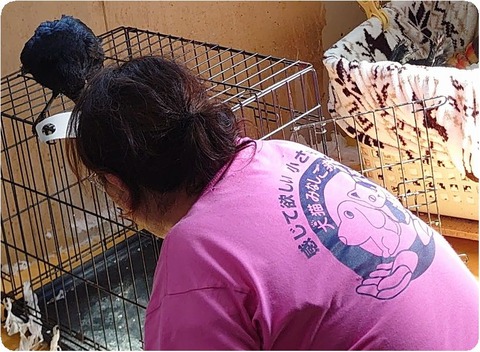 DSC_4415_copy_1530x916_copy_1224x897