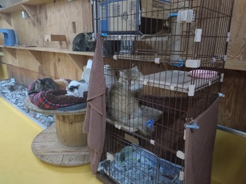 20251011_183452_copy_800x600