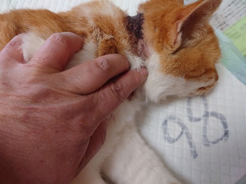 20240124_134418_copy_800x600