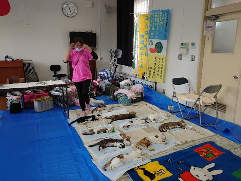 DSC_1702_copy_800x600