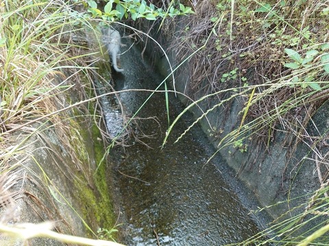 DSC_5992_copy_800x600