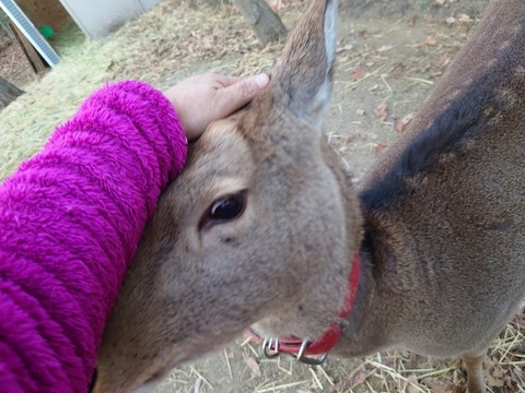 20231225_160651_copy_800x600