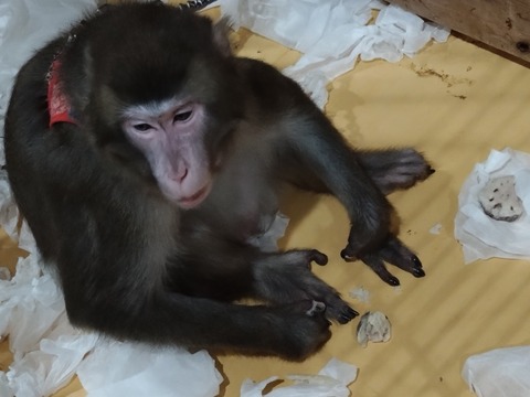 20251213_185550_copy_816x612