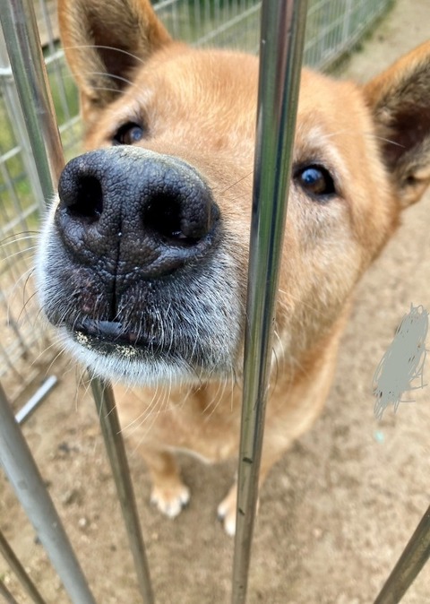 1772323803771_copy_600x842