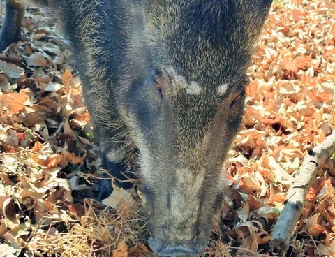 20260105_114049_copy_842x645_copy_800x613~2