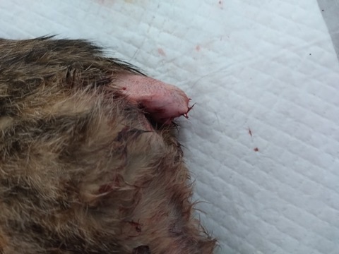 20251216_123149_copy_800x600