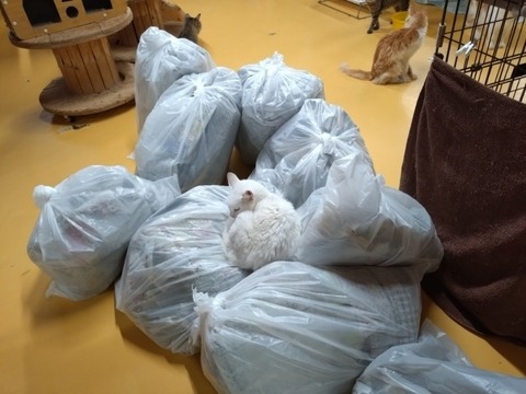 20251012_161658_copy_800x600