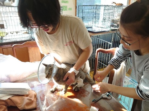 DSC_1538_copy_800x600