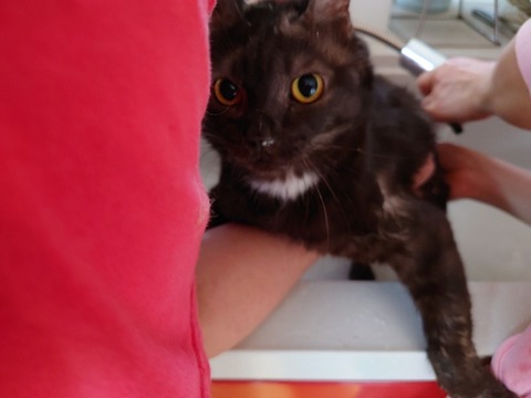 20230404_084239_copy_800x600