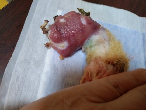 20251026_174335_copy_800x600