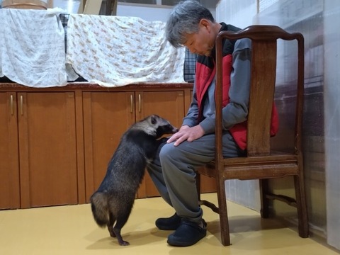 20251214_214546_copy_800x600