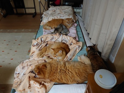 DSC_1033_copy_800x600