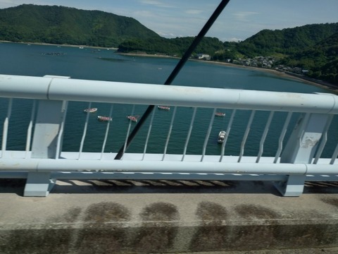 20250626_152414_copy_800x600