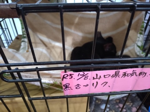 20251125_133147_copy_800x600