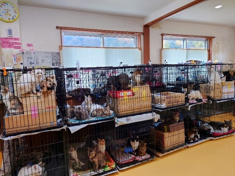 20230301_083214~2_copy_800x600